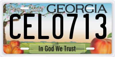 GA license plate CEL0713