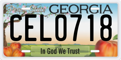 GA license plate CEL0718