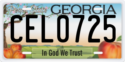 GA license plate CEL0725