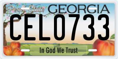 GA license plate CEL0733