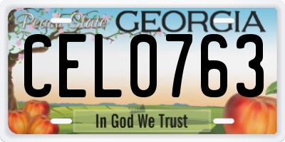 GA license plate CEL0763