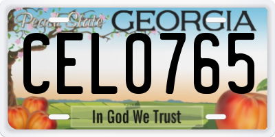 GA license plate CEL0765