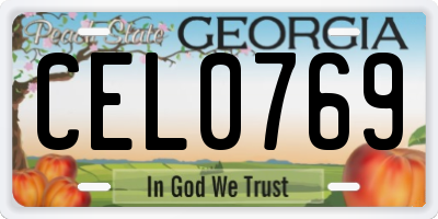 GA license plate CEL0769