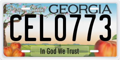 GA license plate CEL0773
