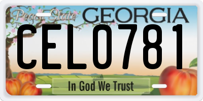 GA license plate CEL0781