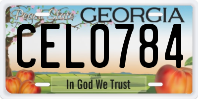 GA license plate CEL0784