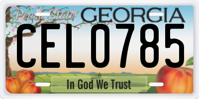 GA license plate CEL0785
