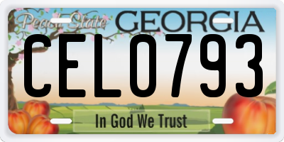 GA license plate CEL0793
