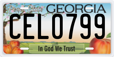 GA license plate CEL0799