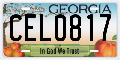 GA license plate CEL0817