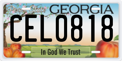 GA license plate CEL0818