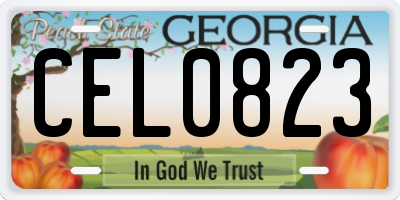GA license plate CEL0823