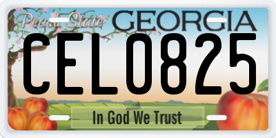 GA license plate CEL0825