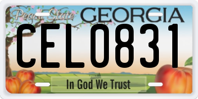 GA license plate CEL0831