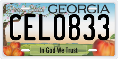 GA license plate CEL0833