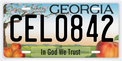 GA license plate CEL0842