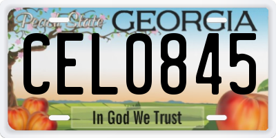 GA license plate CEL0845