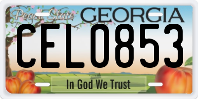 GA license plate CEL0853