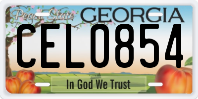 GA license plate CEL0854