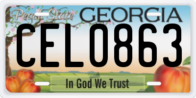 GA license plate CEL0863