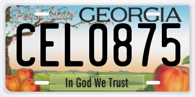 GA license plate CEL0875