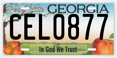 GA license plate CEL0877
