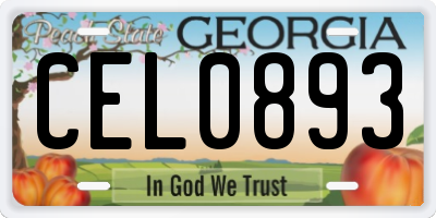 GA license plate CEL0893