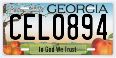 GA license plate CEL0894