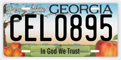 GA license plate CEL0895