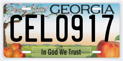 GA license plate CEL0917