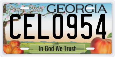 GA license plate CEL0954