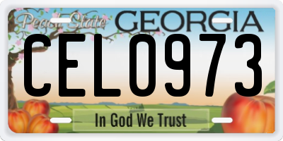 GA license plate CEL0973