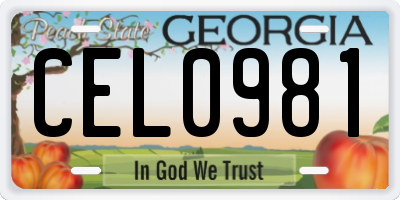 GA license plate CEL0981