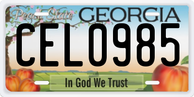 GA license plate CEL0985
