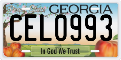 GA license plate CEL0993