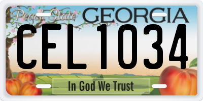 GA license plate CEL1034