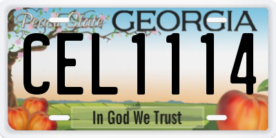 GA license plate CEL1114