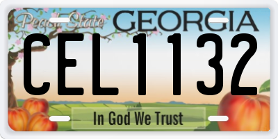 GA license plate CEL1132