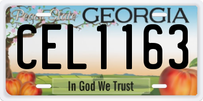GA license plate CEL1163