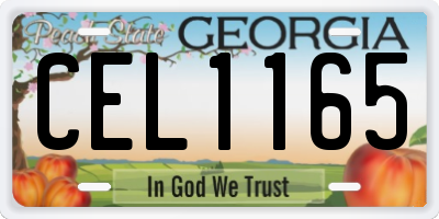 GA license plate CEL1165