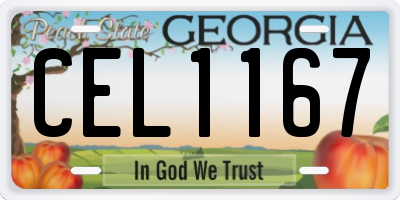 GA license plate CEL1167