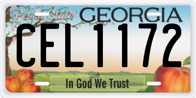 GA license plate CEL1172