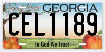 GA license plate CEL1189
