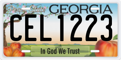 GA license plate CEL1223
