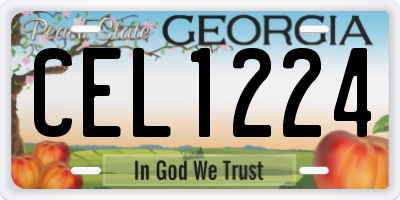 GA license plate CEL1224