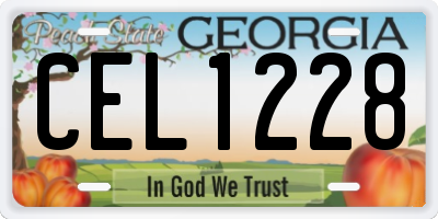 GA license plate CEL1228