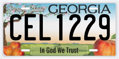 GA license plate CEL1229
