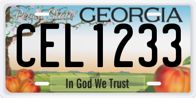 GA license plate CEL1233