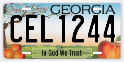 GA license plate CEL1244