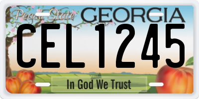 GA license plate CEL1245
